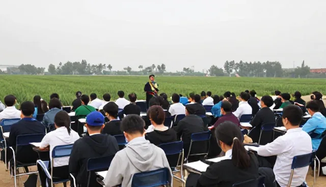种苗供应模式在可持续发展中的演进与挑战